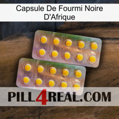 Africa Black Ant Capsule new10